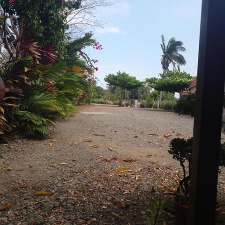 Cabanas Martina Surf Playa Guanico Pedregal Eksteriør bilde